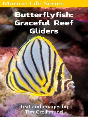 cover image of Butterflyfish